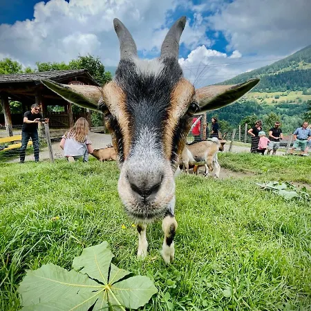 Apartment Sunshine @ Rosie Design *