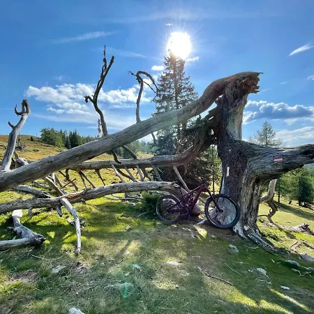 Sunshine @ Rosie Design Apartment *