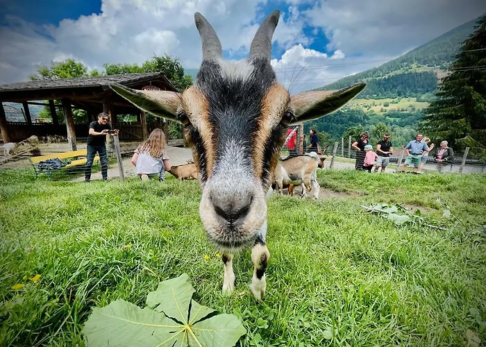 Апартаменты Sunshine @ Rosie Design *