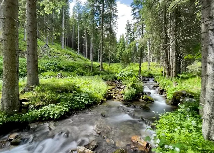 Sunshine @ Rosie Design