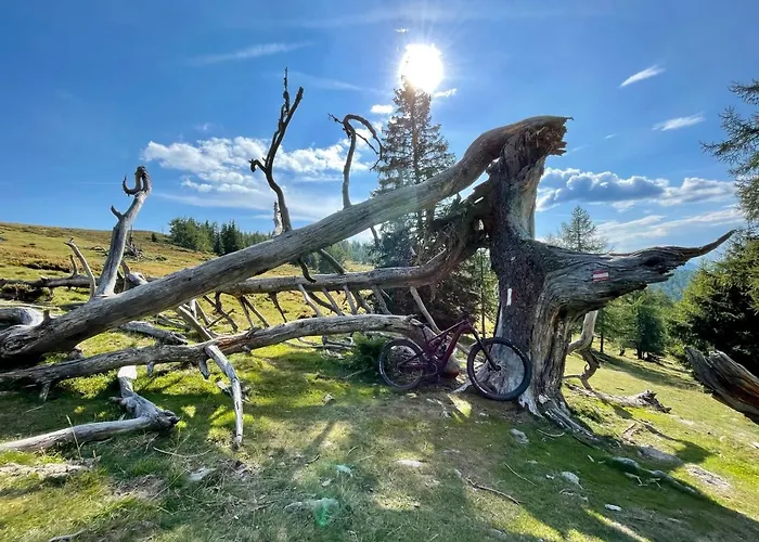 Sunshine @ Rosie Design Appartamento *